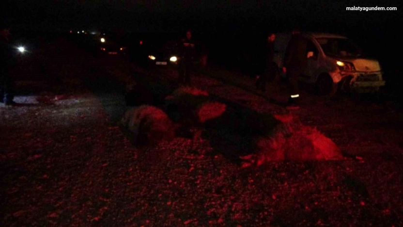 Hafif ticari araç sürüye daldı, 10'dan fazla koyun telef oldu