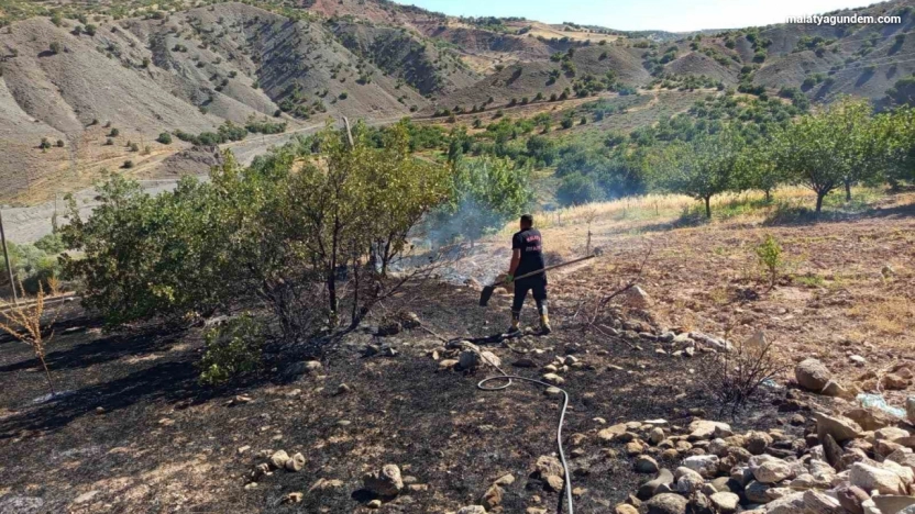 Hekimhan'da ormanlık alanda çıkan yangın söndürüldü