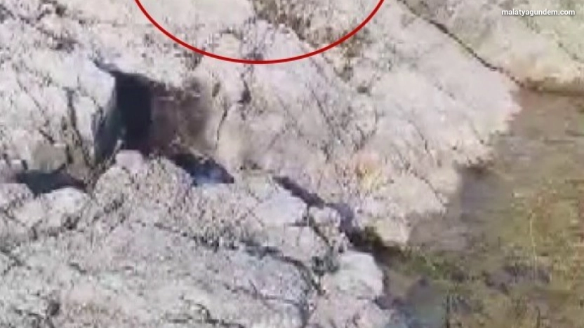 Malatya'da amatör balıkçı ile kedi arasındaki diyalog gülümsetti