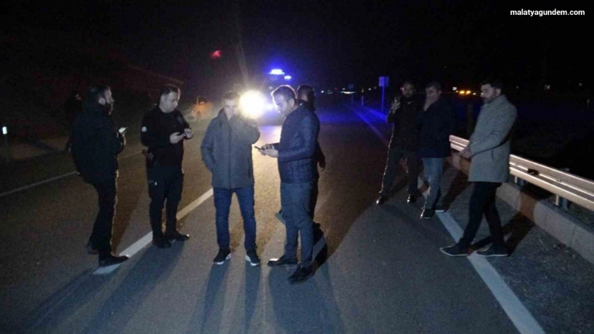 Malatya'da kaçan yarış atları karayoluna çıktı: 6 at telef oldu, 2 kişi yaralandı