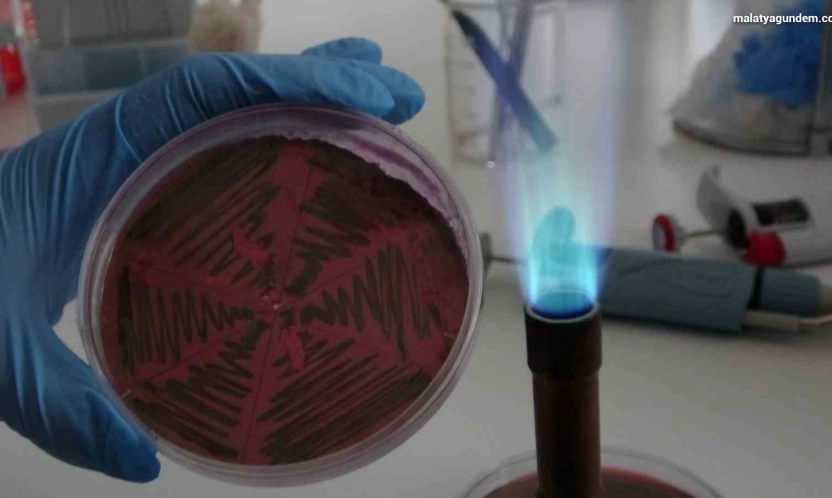 Çiğ süt, gıdayla bulaşan idrar yolu enfeksiyonlarına kapı açıyor