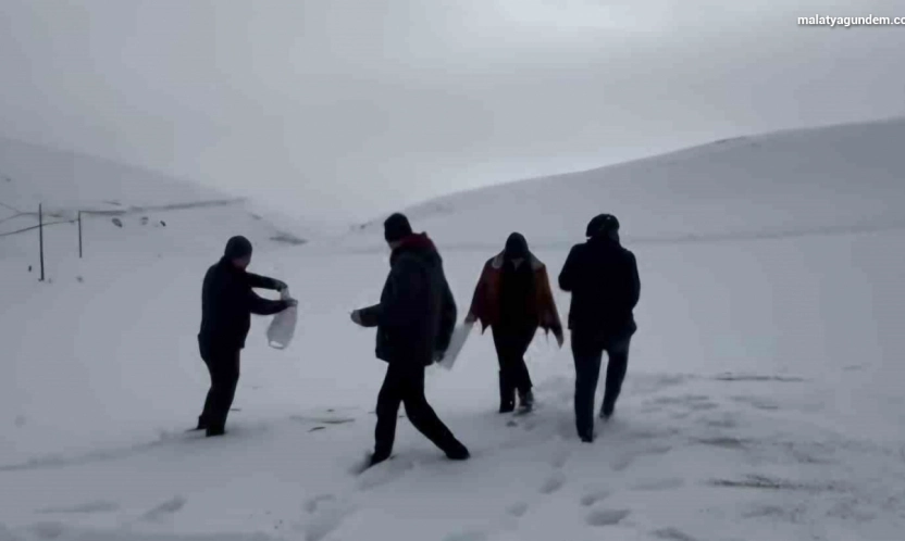 Darende'de öğretmen ve öğrencilerden yaban hayvanlarını unutmadı