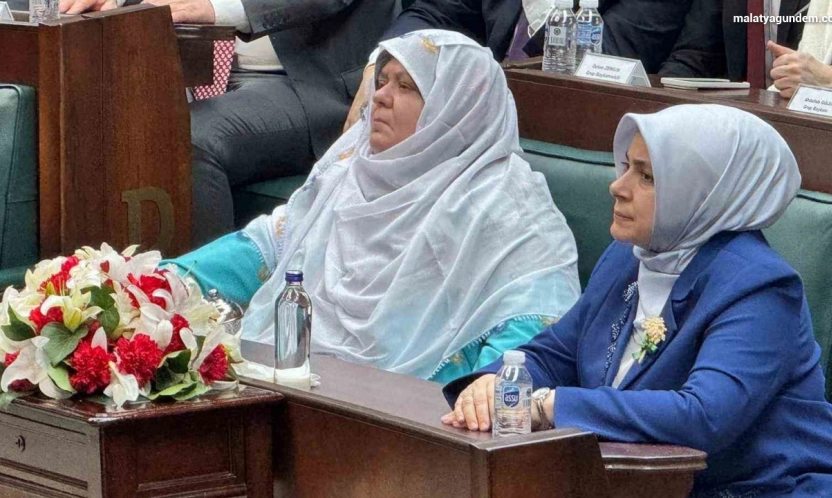 Deprem bölgesi için tarihi finansman modeli