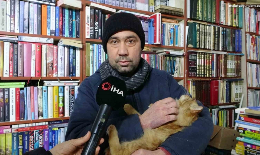 Konteynerde hayata tutunan sahaf, sokak kedilerini yalnız bırakmadı