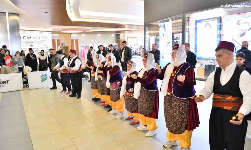 Malatya'da '3 Aralık Dünya Engelliler Günü' etkinliği