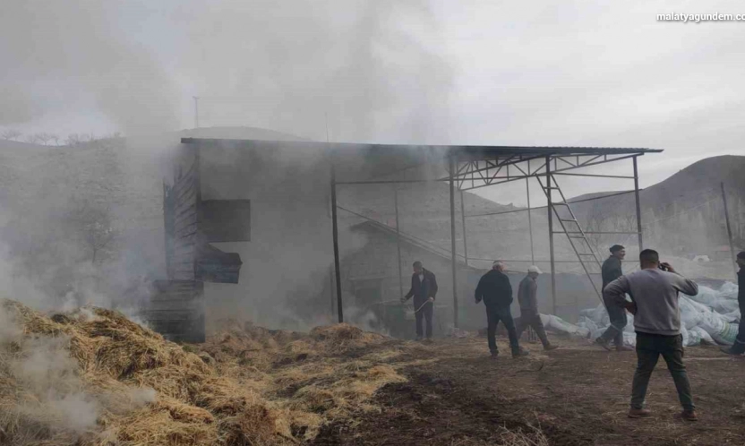 Malatya'da besi çiftliğinde yangın