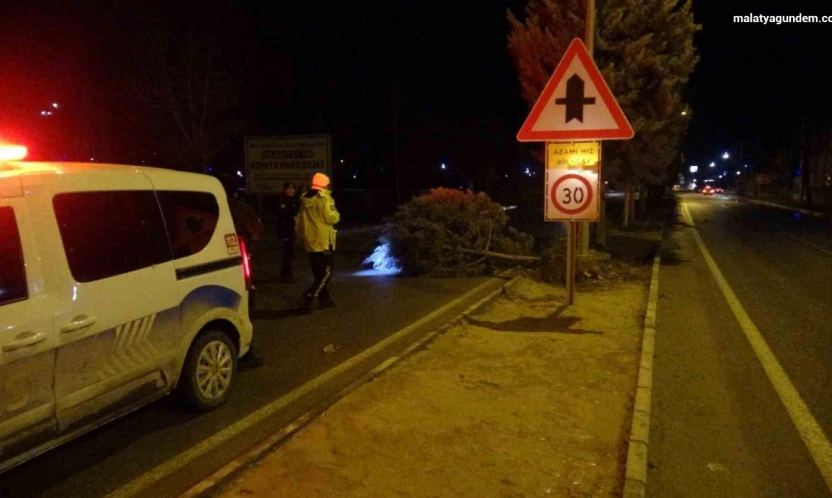 Malatya'da fırtına ağaçları kökünden söktü