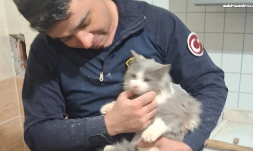Malatya'da havalandırma boşluğuna düşen kedi kurtarıldı